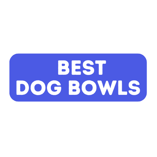 Why BestDogBowls.com is the Best Choice for a New Dog Bowl
