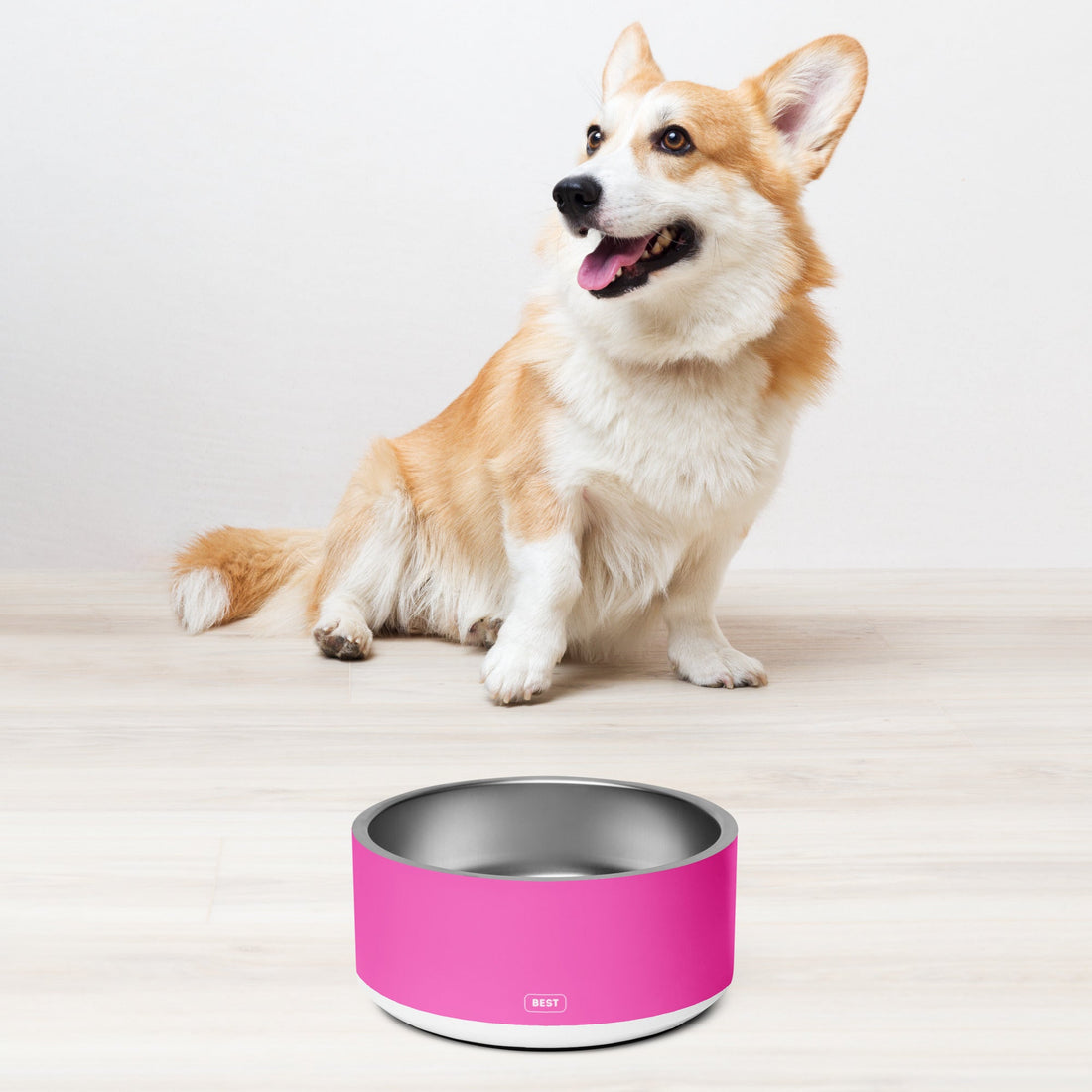 Durable Stainless Steel Dog Bowls for All Purposes