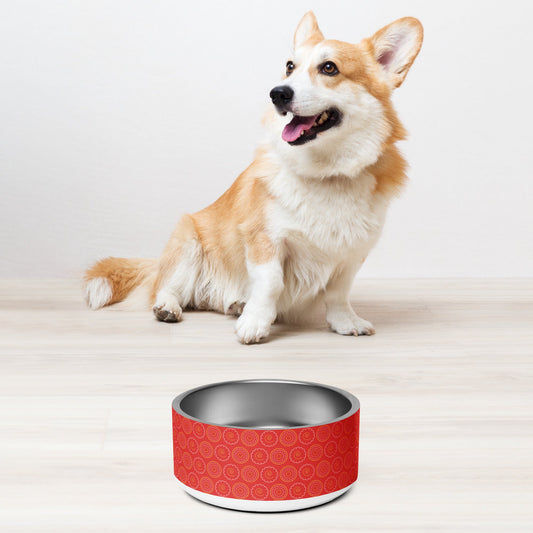 Best Stainless Steel Dog Bowl