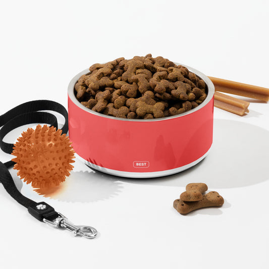 Why Stainless Steel Dog Bowls Are the Best Choice for Messy Eaters