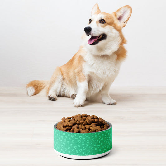 Measuring Your Dog's Meal: How to Choose Between 16oz (2-Cup) and 32oz (4-Cup) Dog Bowls