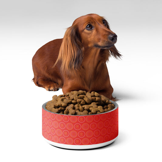 best dog bowl