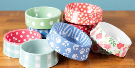 Colorful patterned dog bowls on a wooden surface.
