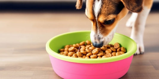 Dog eating from a colorful anti-spill bowl.