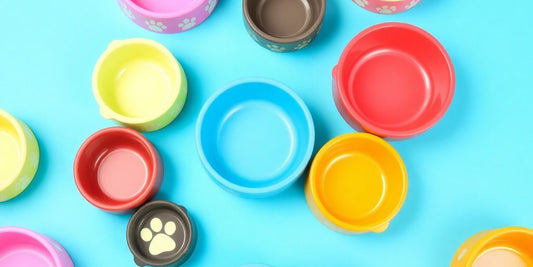 Colorful dog bowls for small dogs on display.